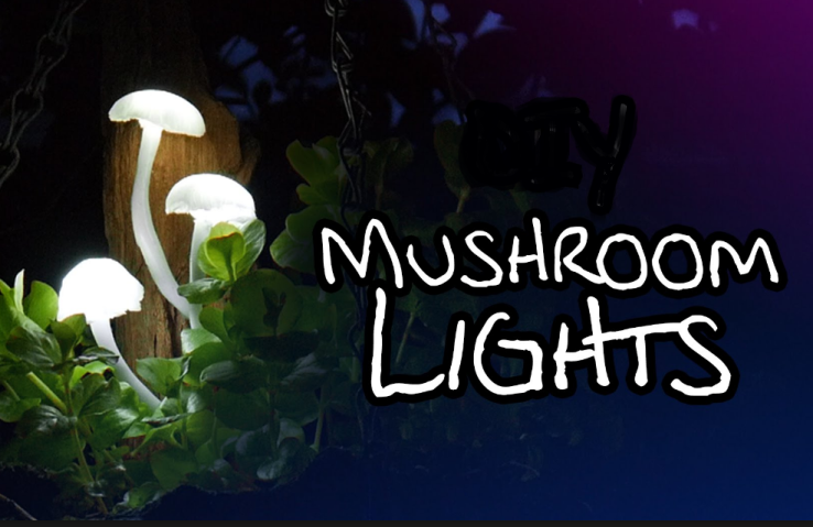 Mushroom lights [from DIY Perks, YouTube]